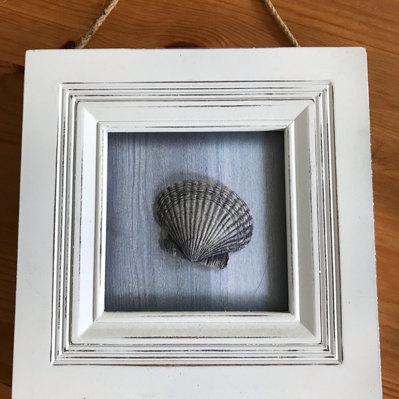 None Other - Seashell picture